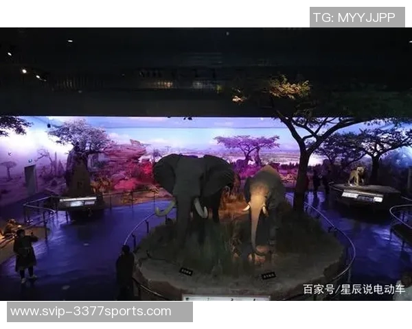 探索天津室内足球馆的魅力与发展潜力助力城市体育文化的崛起与繁荣